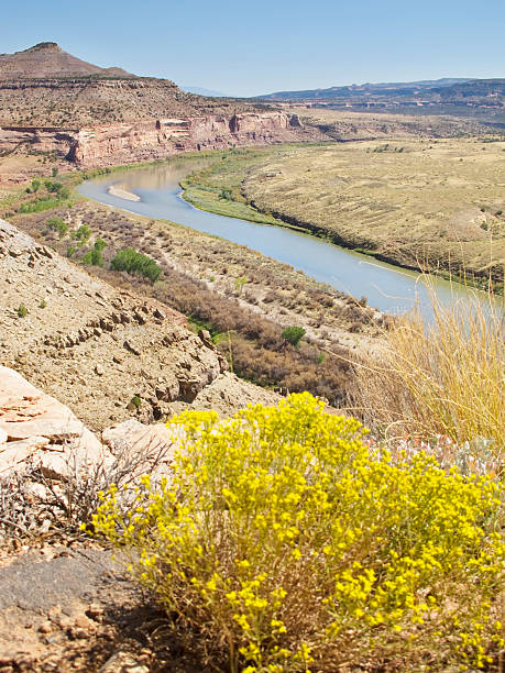 istock colorado river desert landscape 183031619