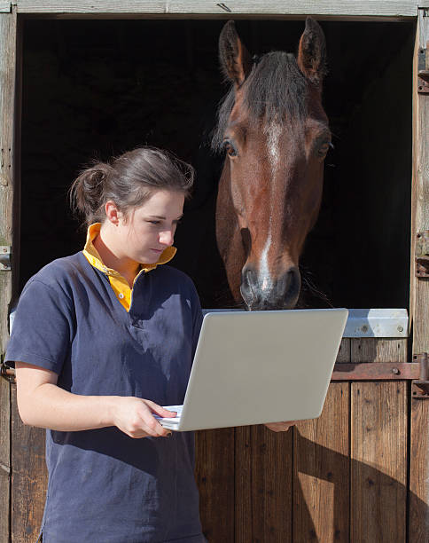 young woman with computer and horse stock photo