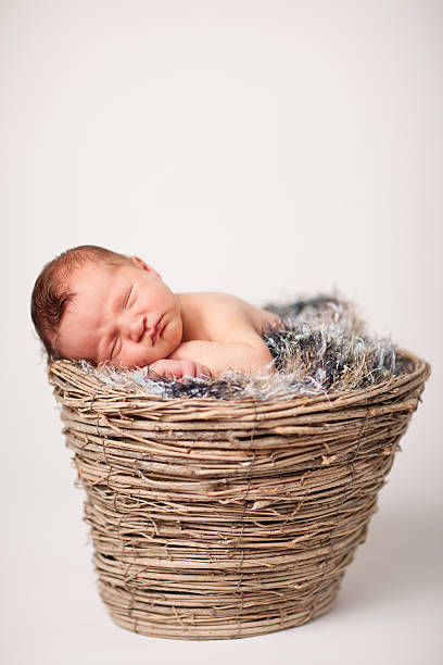 istock Newborn Baby Sleeping Peacefully in Basket with Fuzzy Texture 183031729