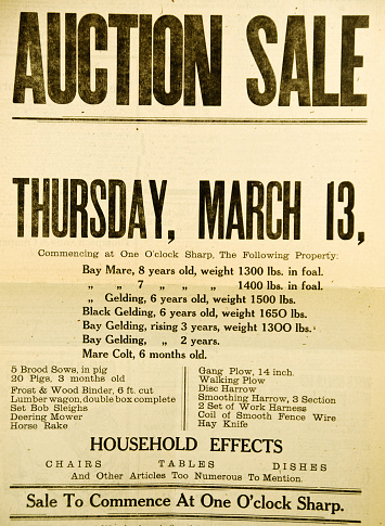 From a 1913 newspaper, the a page announcing an upcoming auction sale... including some of the animals and articles at this farm auction.