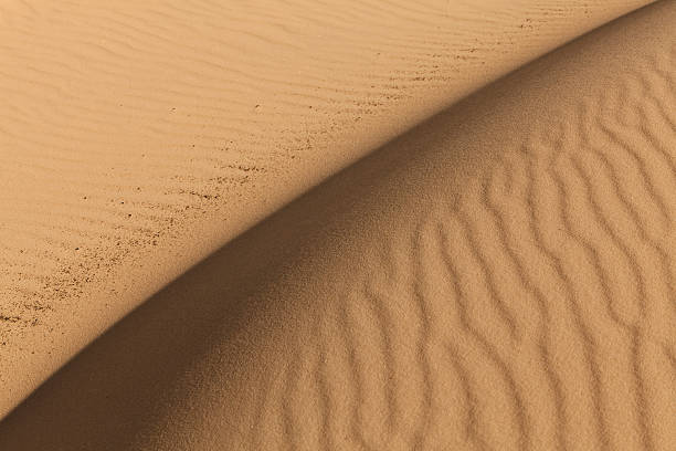 istock Sand dune patterns of light and shade 183032269