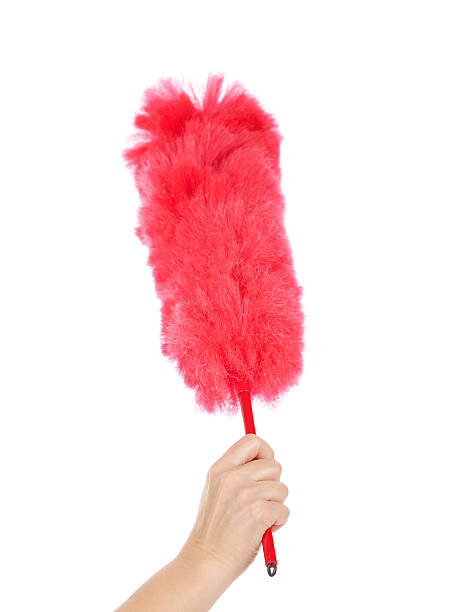 Hand Holding Feather Duster Maid's hand holding a feather duster. Studio isolated against a white background.Please also see: dusting stock pictures, royalty-free photos & images