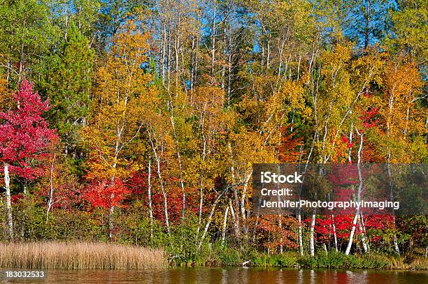 Foto de Outono Em Wisconsin e mais fotos de stock de Azul - Azul, Beleza natural - Natureza, Bosque - Floresta
