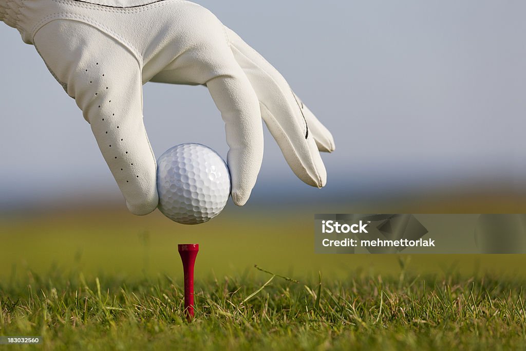 Teeing Up Man's hand placing a golf ball on the tee prior to teeing off. Golf Stock Photo