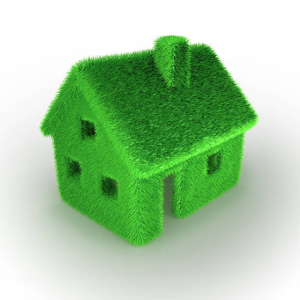 Sustainable living: Grass House isolated on white with clipping path
