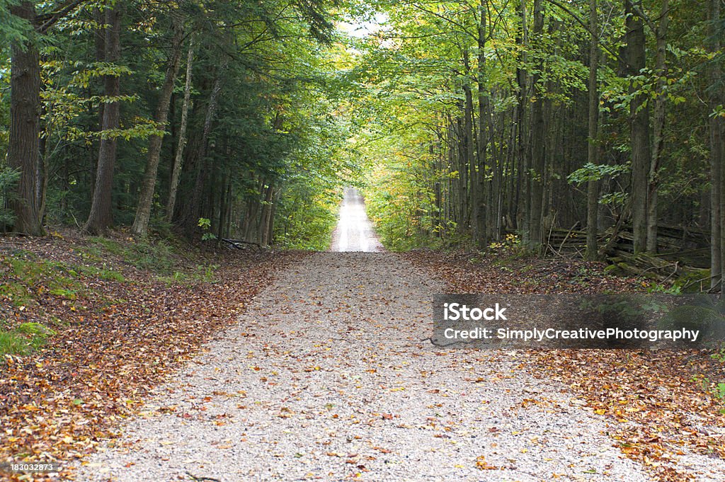 Rural Autumn Road through Forest A gravel road through an Ontario forest with fallen leaves along the side of the road. Autumn Stock Photo