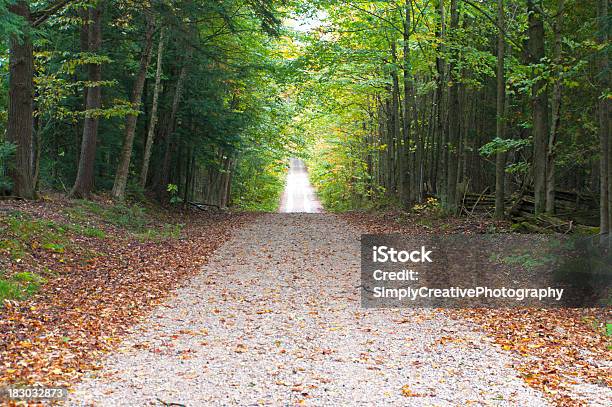 Rural Autumn Road Through Forest Stock Photo - Download Image Now - Autumn, Color Image, Communication