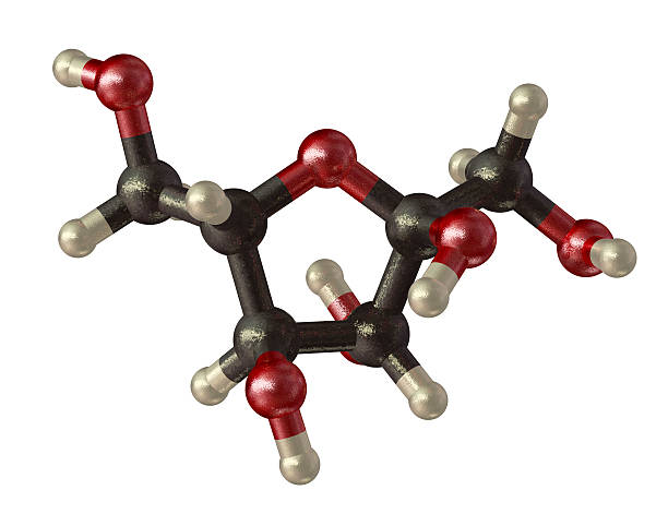 Fructose Model Building 230+ Molecular Formula For Fructose Stock Photos, Pictures & Royalty ...