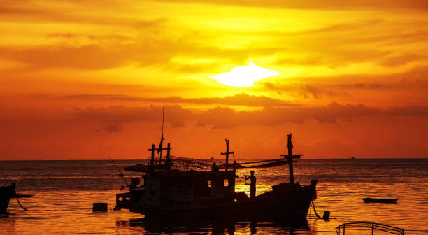 istock Beautiful Thailand  pictures 1830333737