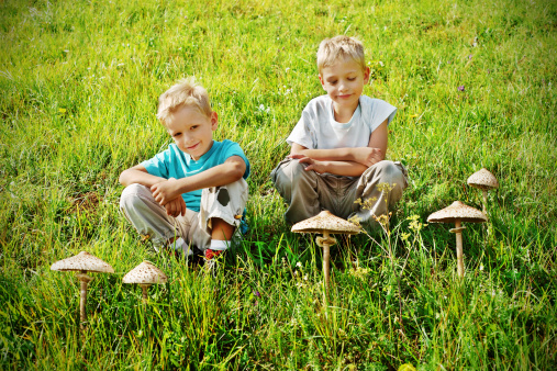 Two boys sitting in the grass next to mushrooms they found
