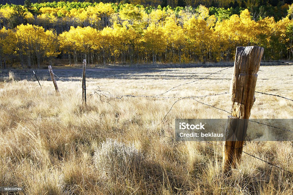 Vecchia parete Post in Colorado - Foto stock royalty-free di Agricoltura