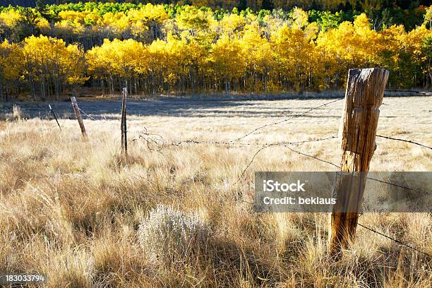 Vecchia Parete Post In Colorado - Fotografie stock e altre immagini di Agricoltura - Agricoltura, Ambientazione esterna, Ambientazione tranquilla