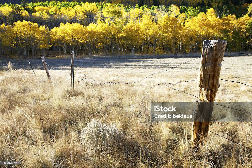 Velho muro Post no Colorado - Foto de stock de Agricultura royalty-free