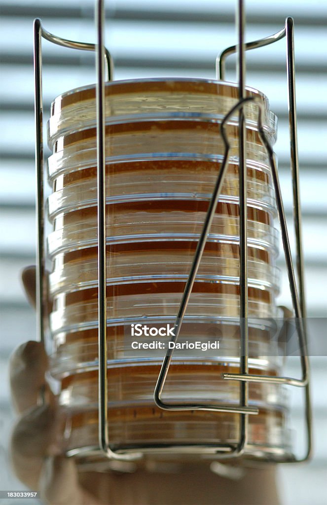 Sustancia química de laboratorio - Foto de stock de Analizar libre de derechos