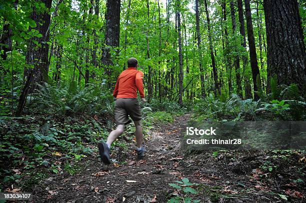 Trail Runner - zdjęcia stockowe i więcej obrazów Aktywny tryb życia - Aktywny tryb życia, Bieg przełajowy, Biegać