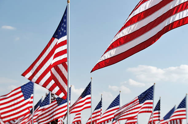 istock American Flags on Memorial Day  at a Cemetery 183034488