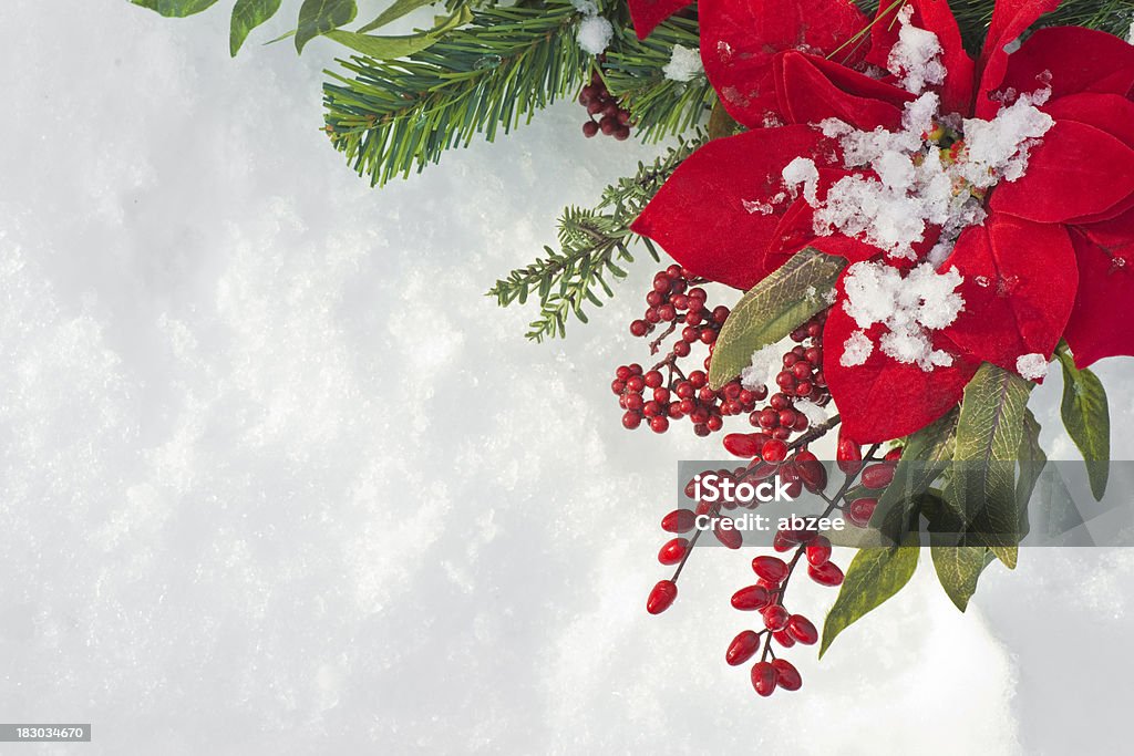 Poinsettia et berry couronne de Noël sur fond de neige - Photo de Fond libre de droits