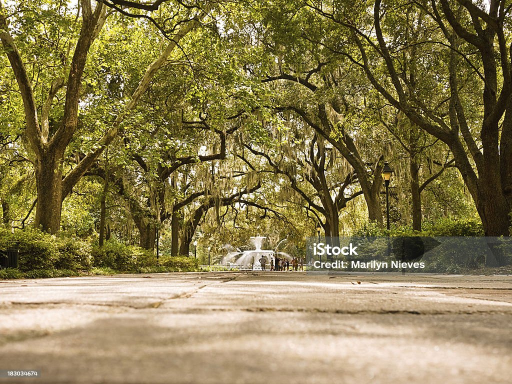 Lebhafte Forsyth Park von Savannah - Lizenzfrei Alt Stock-Foto