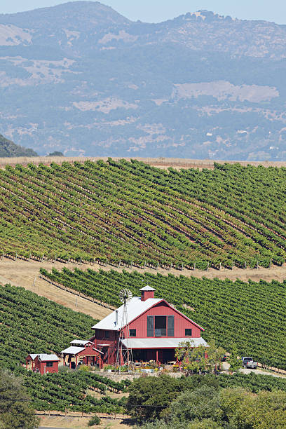 napa valley weingut - california napa valley vineyard farmhouse stock-fotos und bilder