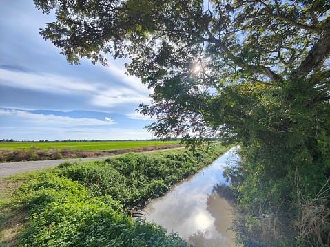 Paddy field in non-urban (village) location