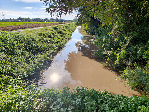 Paddy field in non-urban (village) location