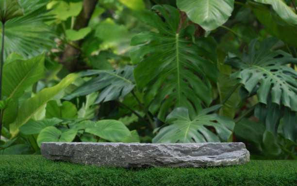 istock Stone tabletop podium floor in outdoors tropical garden forest blurred green leaf plant nature background.Natural product placement pedestal stand display,jungle paradise concept. 1830353984