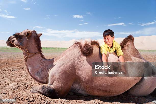 Mongol Jovem Rapaz Com Camelo - Fotografias de stock e mais imagens de Mongólia - Mongólia, Deserto de Gobi, Animal