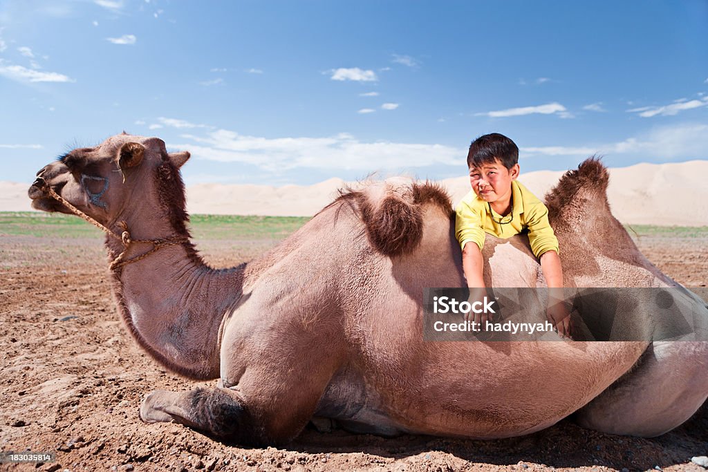 Монгольского молодой мальчик с верблюжий - Стоковые фото Монголия роялти-фри