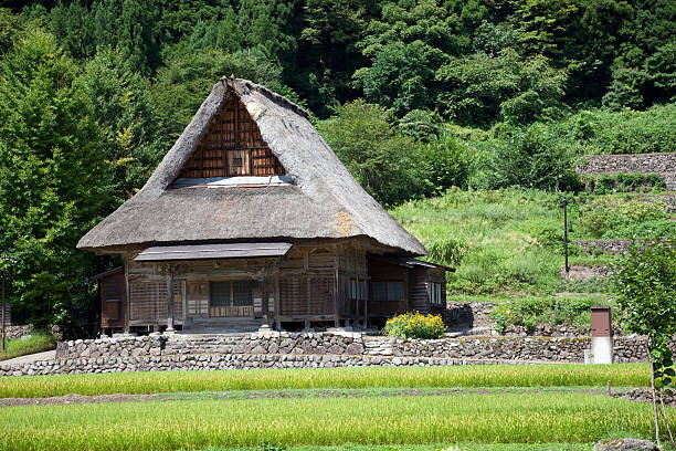 old casas - thatched roof fotografías e imágenes de stock