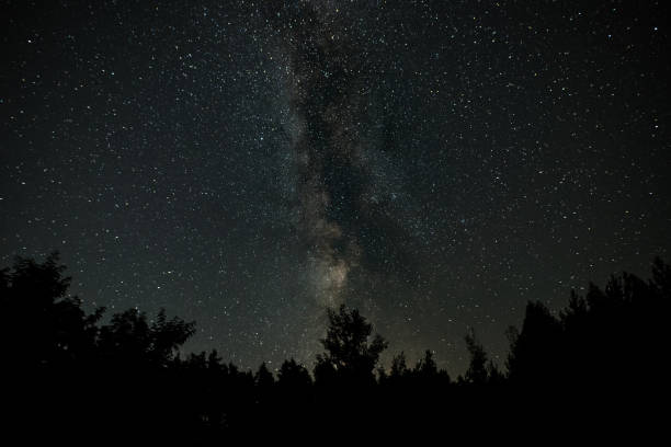 istock Milky Way Galaxy over the forest 1830360991