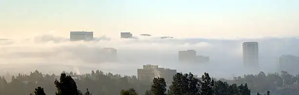 Wide angle view of Westwood Village on a foggy gray summer morning.