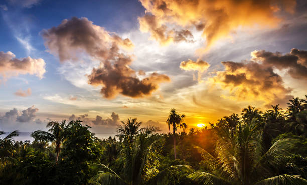 istock Beautiful Thailand  pictures 1830363910