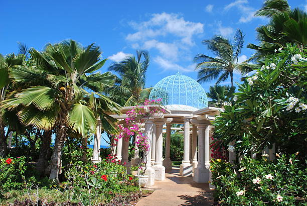 Tropical villa residence outdoor garden walkway