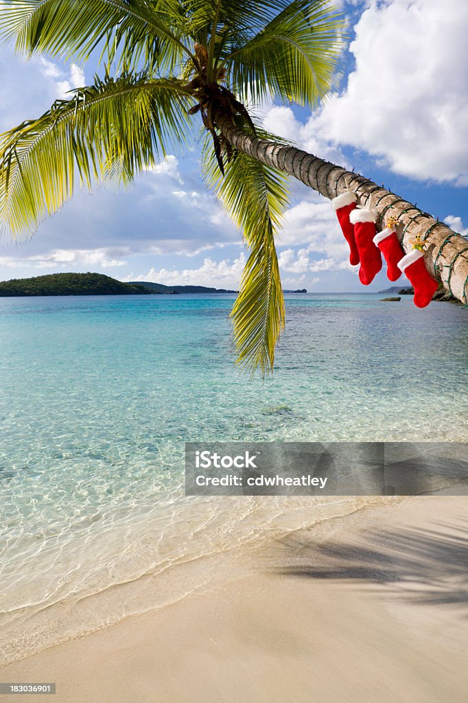 Albero di natale su una spiaggia caraibica - Foto stock royalty-free di Natale