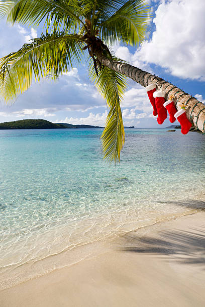 albero di natale su una spiaggia caraibica - christmas palm tree island christmas lights foto e immagini stock