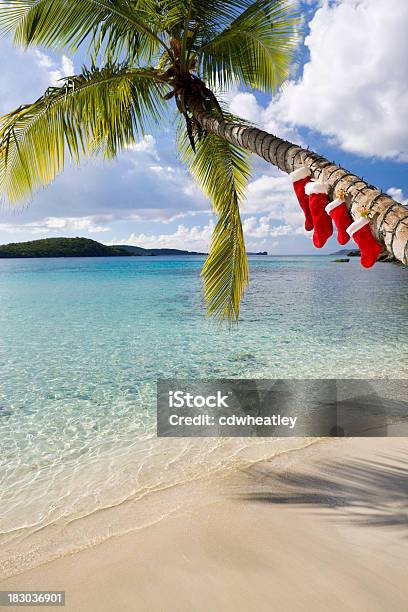 Albero Di Natale Su Una Spiaggia Caraibica - Fotografie stock e altre immagini di Natale - Natale, Spiaggia, Palma