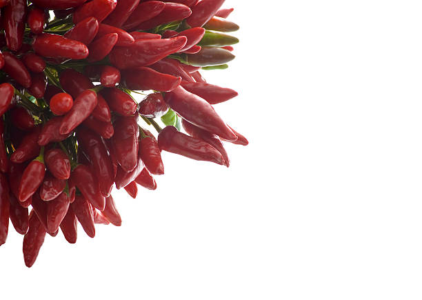 Bunch of Fresh Red Hot Chili Peppers, Front View Close-Up stock photo