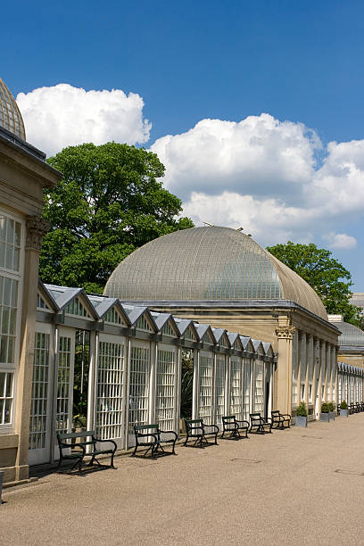 istock Botanical garden in Sheffield, UK 183036923
