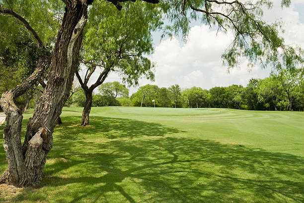Beautiful golf course in a sunny day. Background evening golf course has sunlight shining down. Golf course in the countryside