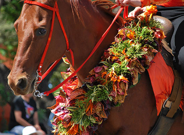 istock Horse decorated with leis 183037253