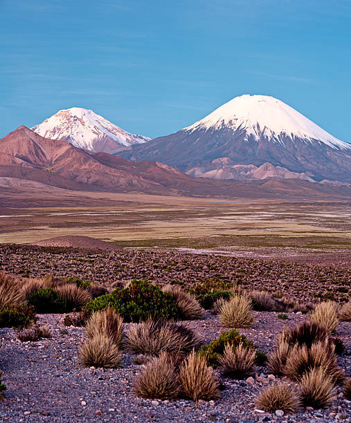 istock Parinacota Volcano in Lauca National Park, Chile 183037627