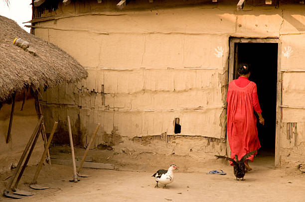 istock Mudbrick housing of Tharu community 183037721