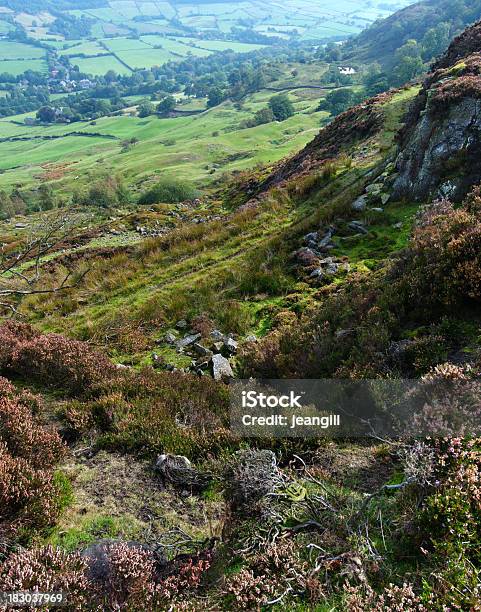 Moorland Panorama 노스요크셔 영국 0명에 대한 스톡 사진 및 기타 이미지 - 0명, 경관, 경작지