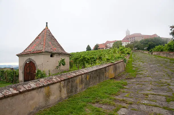 "The castel Riegersburg, southern Styria, Austria in the mist in autum."