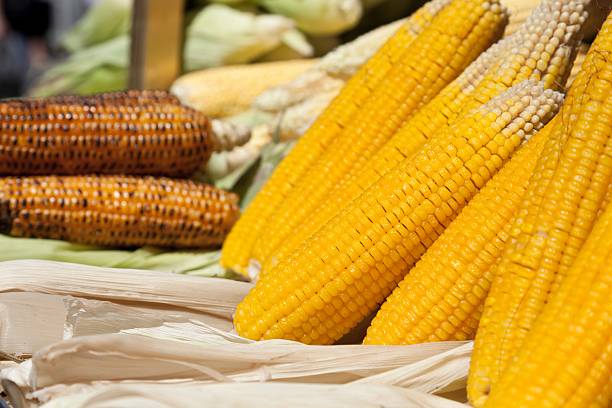 pieczona kukurydza - corn on the cobb zdjęcia i obrazy z banku zdjęć