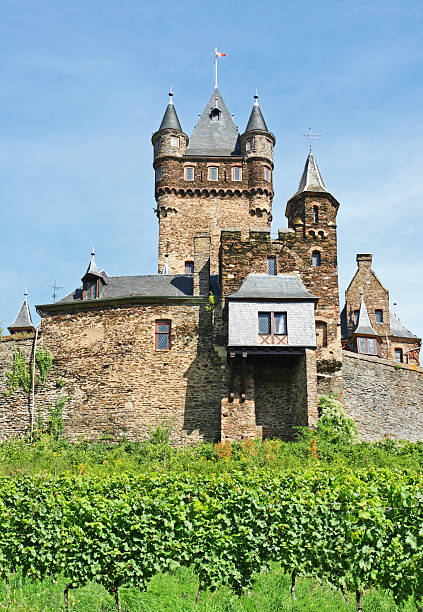 istock Reichsburg castle in Cochem at river Mosel with vineyard 183038484