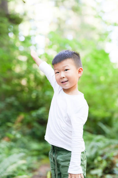 istock A Little Boy's Journal Amongst the Trees 1830386957