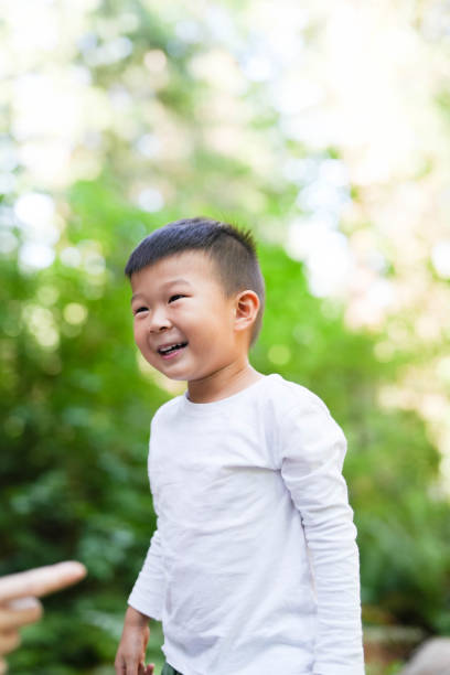 istock A Little Boy's Journal Amongst the Trees 1830386968