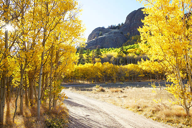 istock Country Road in Autumn 183038870