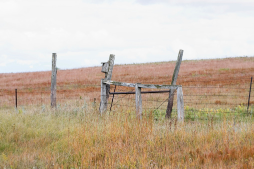 An old fence with a birdhouse in a prairie pasture in autumn.